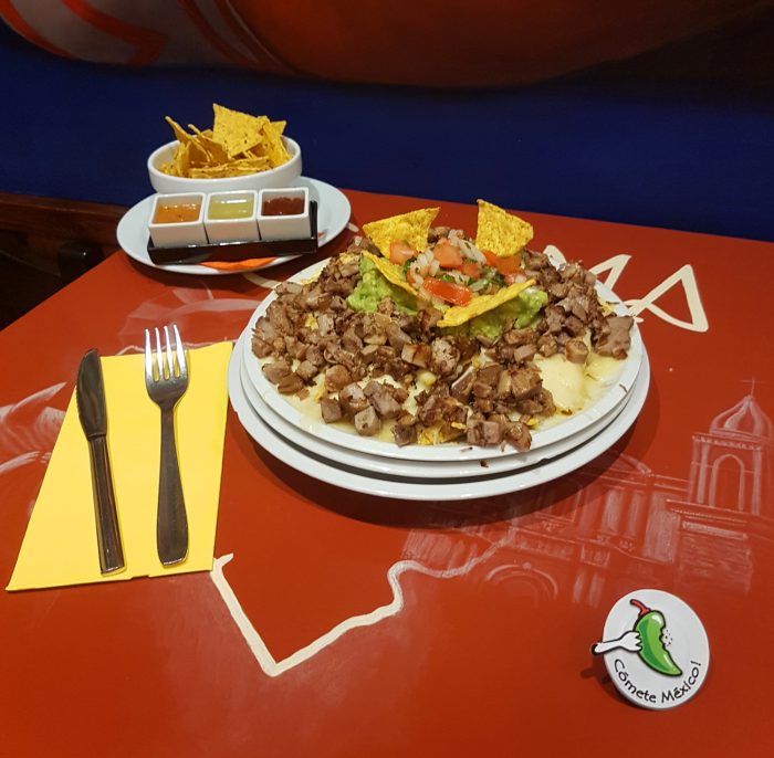 Nachos con Guacamole y Carnitas